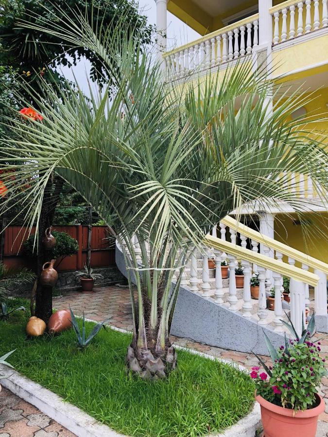 George'S House Hotel Kobuleti Kültér fotó